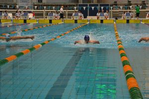 PDSSSC 201 12 5931