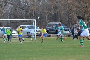 PDSSSC 201 12 6719