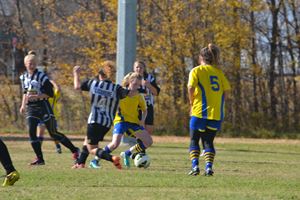 PDSSSC 201 12 6790