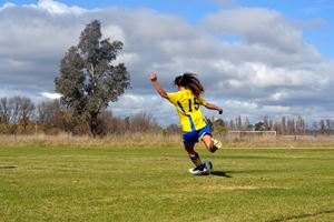PDSSSC 201 12 6792
