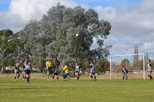 PDSSSC 201 12 6828