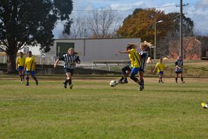 PDSSSC 201 12 6877