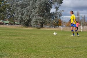 PDSSSC 201 12 6895