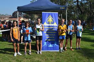 PDSSSC 201 12 6675