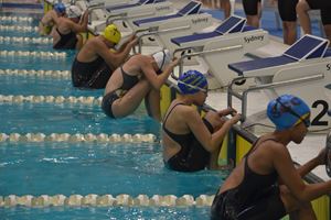 PDSSSC 201 12 6538