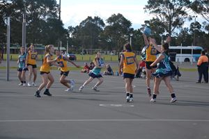 DSC 0135