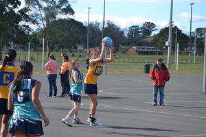 DSC 0138