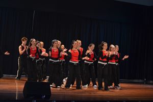 DSC 0271
