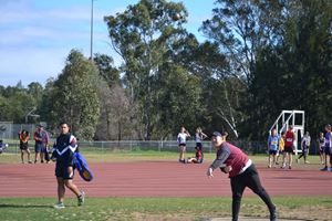 DSC 0037