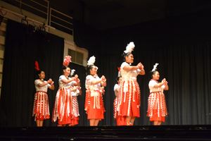DSC 0219 (1)