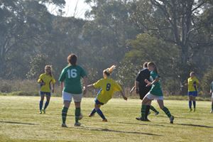 DSC 0045
