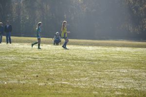 DSC 0090