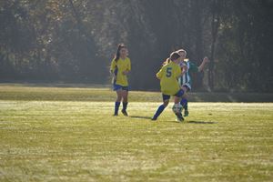 DSC 0142