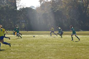 DSC 0152