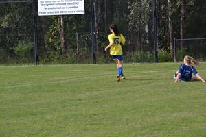 DSC 0197