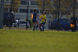 DSC 0206
