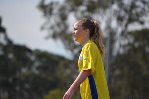 DSC 0277