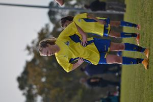 DSC 0290