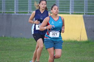 IMG 3046