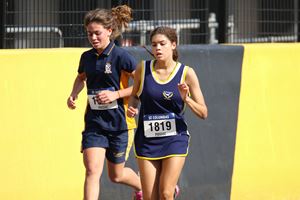 IMG 3199