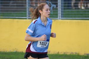 IMG 3736