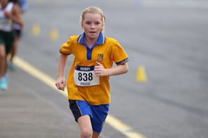 IMG 4246